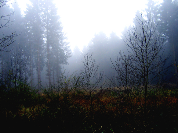 n_70_kö_J94_herbstnebel-3.jpg